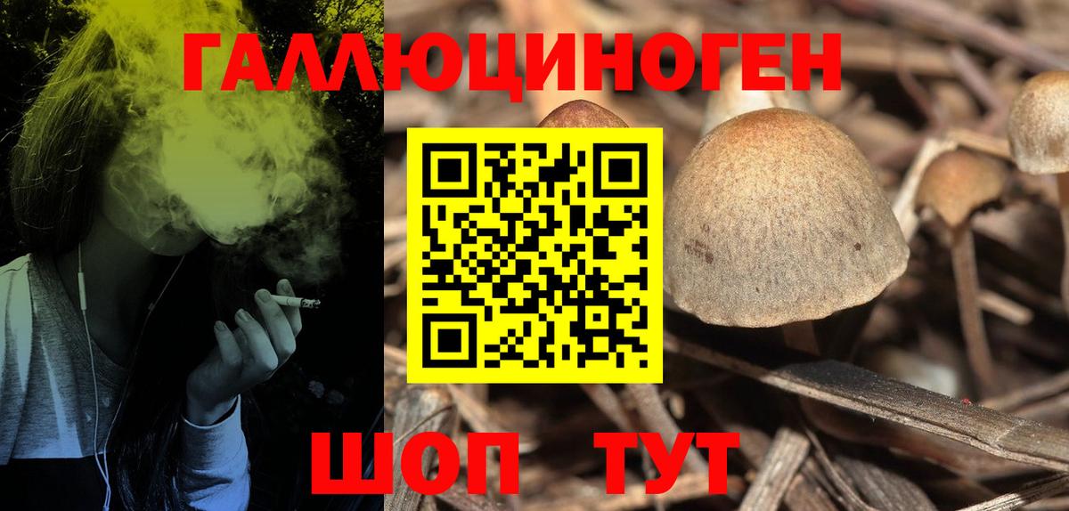 где найти   Псилоцибиновые грибы Magic Shrooms  Вход с VPN  Киров 